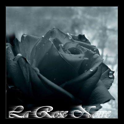 La Rose Noire