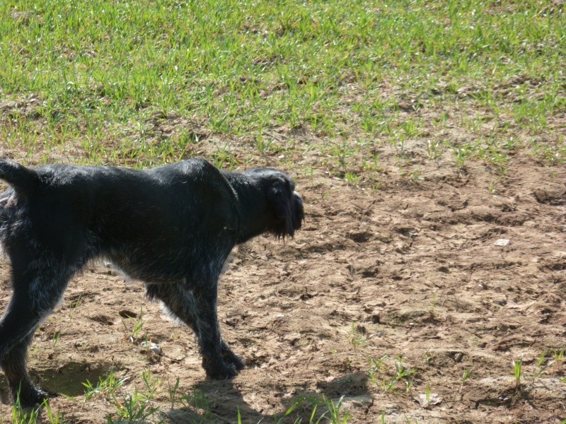 concours de printemps P1000017