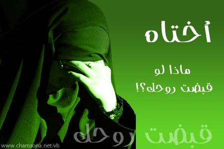 شعارت وتوقيع عن الحجاب Hijab010