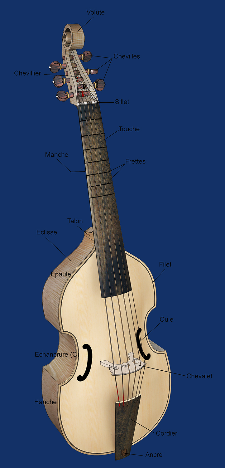 [Lutherie] Viole de gambe à 7 cordes. - Page 14 Sans_135