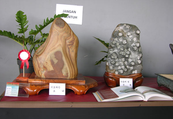 NATIONAL BONSAI & SUISEKI EXHIBITION 2011 IN JAKARTA 3010