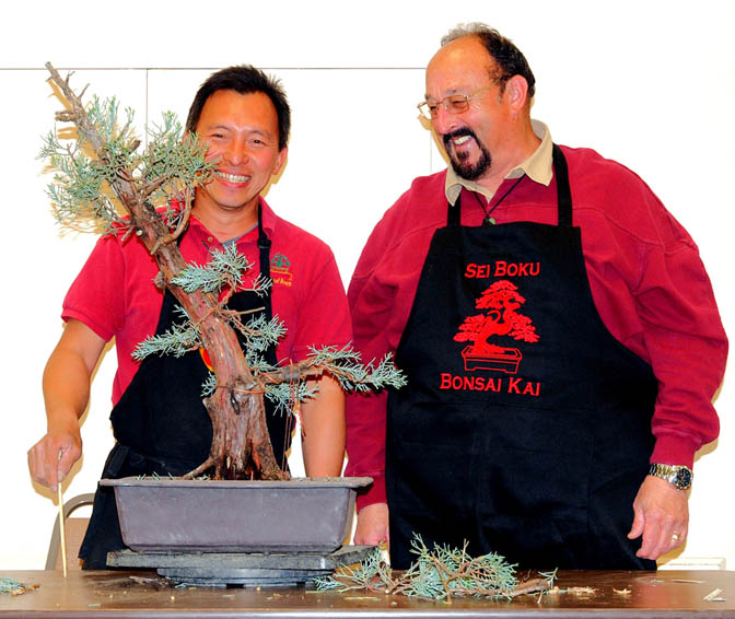 BOON AT SEI BOKU BONSAI KAI Boon13