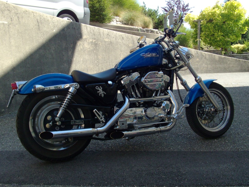 combien sommes nous en 1200 Sportster sur Passion-Harley - Page 4 Guylan10