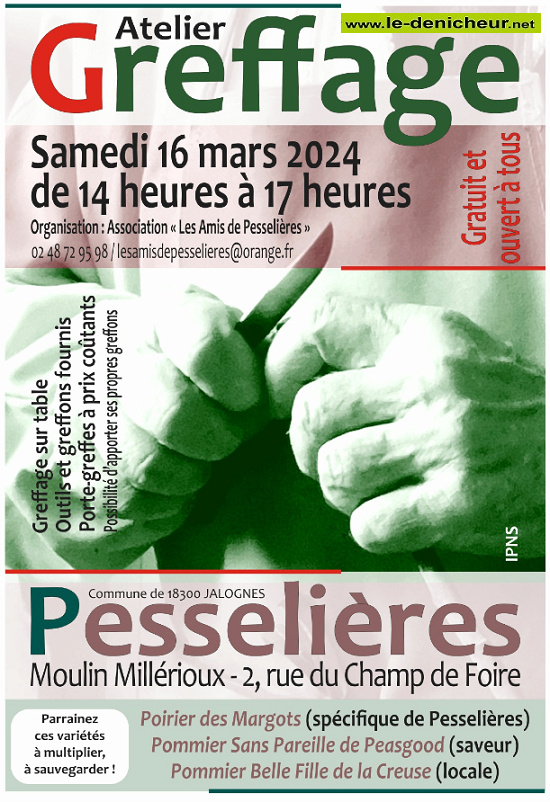 c16 - SAM 16 mars - PESSELIERES (Cne de Jalognes) - Atelier Greffage 000_0126
