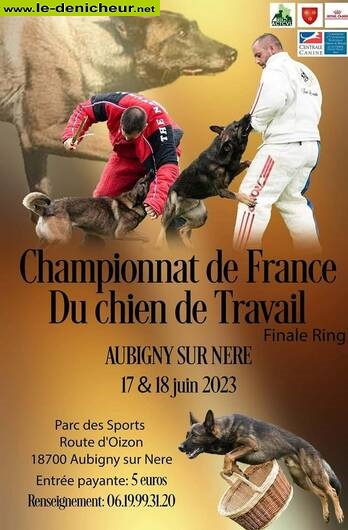 r18 - DIM 18 juin - AUBIGNY /Nère - Championnat de France du Chien de Travail 000_326