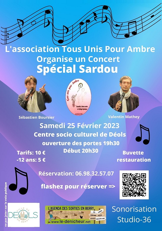 n25 - SAM 25 février - DEOLS - Concert spécial Sardou 02-25_13