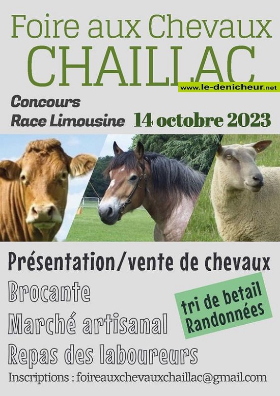 v14 - SAM 14 octobre - CHAILLAC - Brocante / Foire aux chevaux 10-14_45