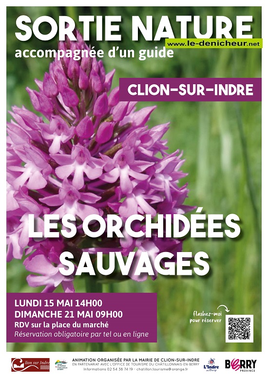 q21 - DIM 21 mai - CLION /Indre - Sortie nature "Les orchidées sauvages"  Affic304
