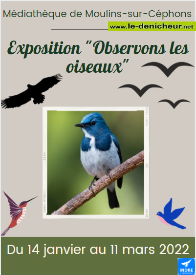 c11 - Jusqu'au 11 mars - MOULINS /Céphons - Exposition "Observons les oiseaux"  Affich12