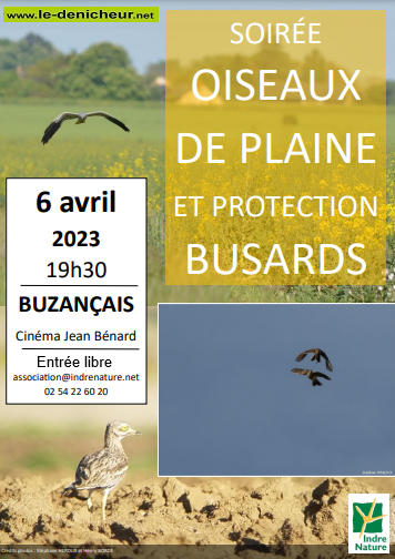 p06 - JEU 06 avril - BUZANCAIS - Conférence '"oiseaux de plaine et protection busards'"  Affich70
