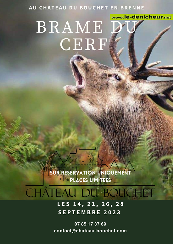 u28 - JEU 28 septembre - CHÂTEAU DU BOUCHET - Brame du Cerf ++ Brame10