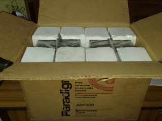 Paradigm ADP-100 surround speakers (Display) SOLD 20022012