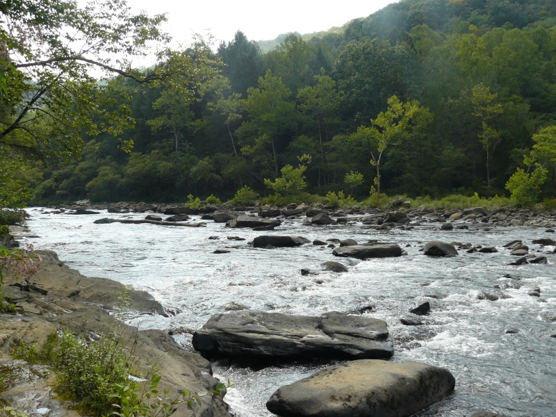 Meadow and Gauley River 2010_m11