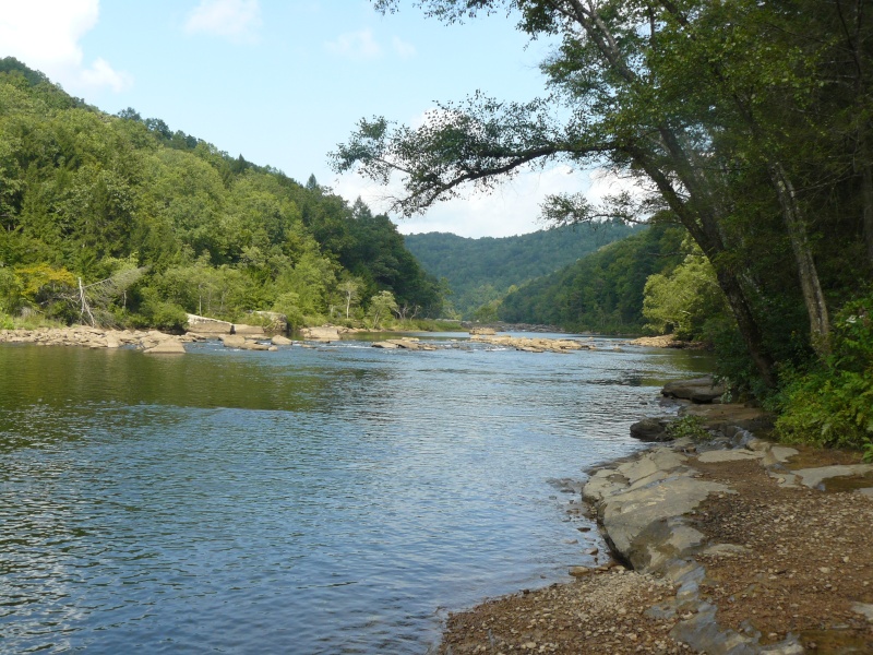 Meadow and Gauley River 2010_m14