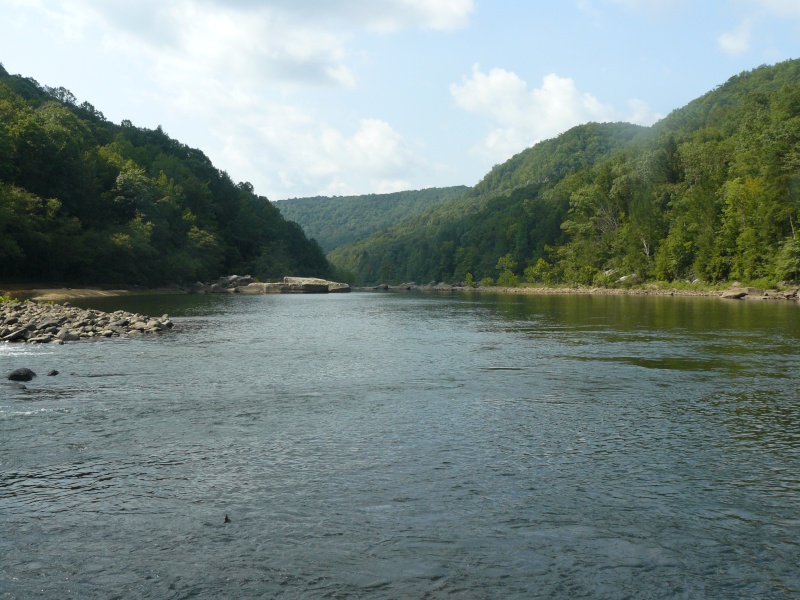 Meadow and Gauley River 2010_m15