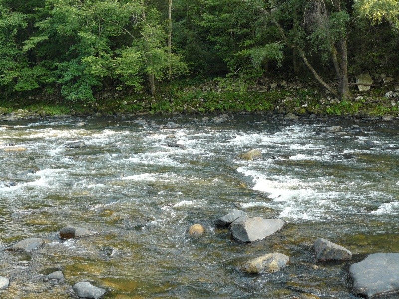 Meadow & Gauley River 2010_m30