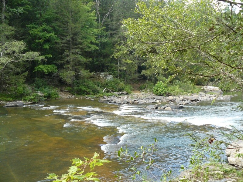 Meadow & Gauley River 2010_m35