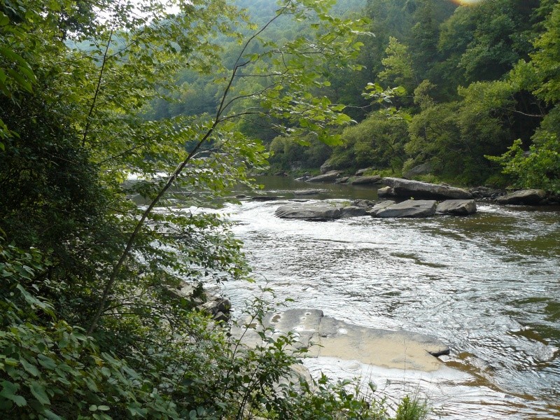 Meadow & Gauley River 2010_m36