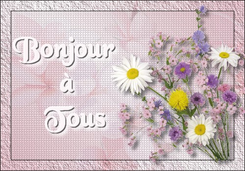 Novembre 2018 - Page 5 Db_bon35