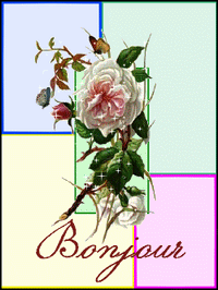 JUILLET 2018 - Page 12 Db_bon45