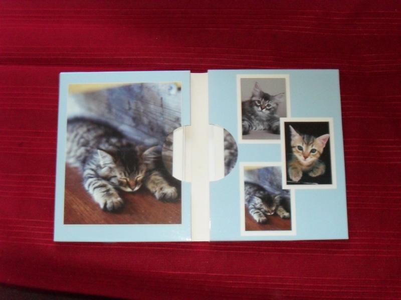 Item 32 - Cat Notelets and Envelopes Xmas_a40