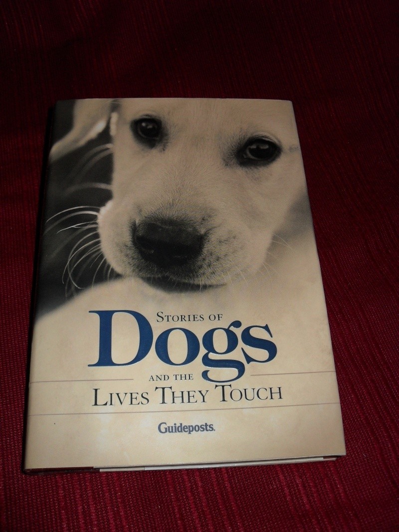 Item 62 - Dog Stories book Xmas_a75