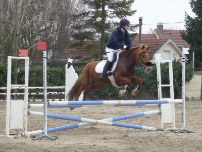 concours du 14 mars (Auvers) Normal22