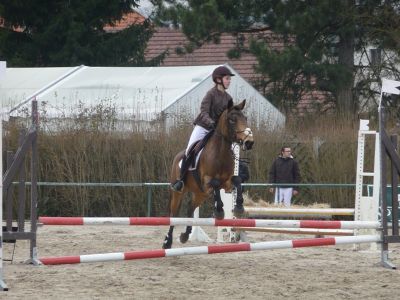 concours du 14 mars (Auvers) Normal24