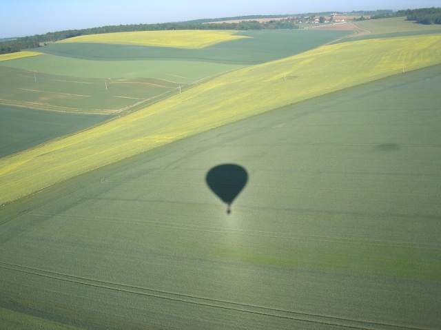 Papillon en ballon !!! P5240010