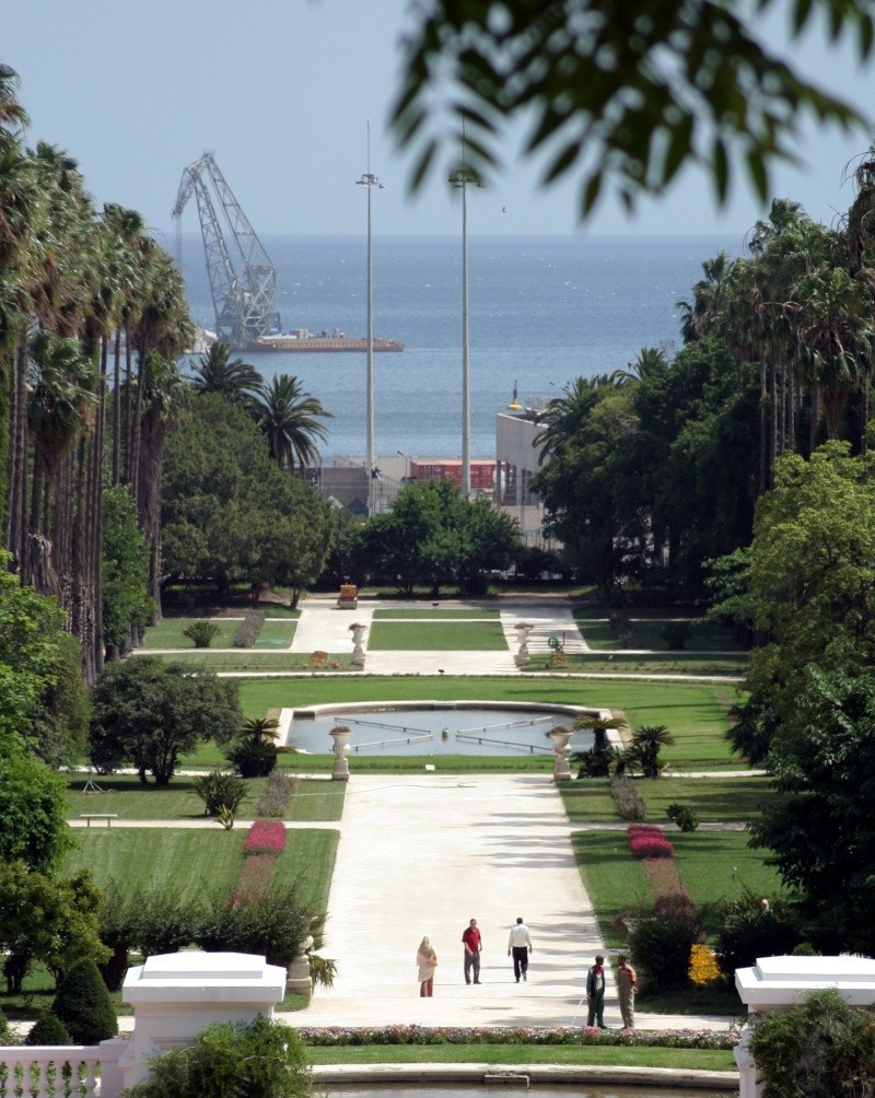 Alger et ses environs par Wafid Jardin10