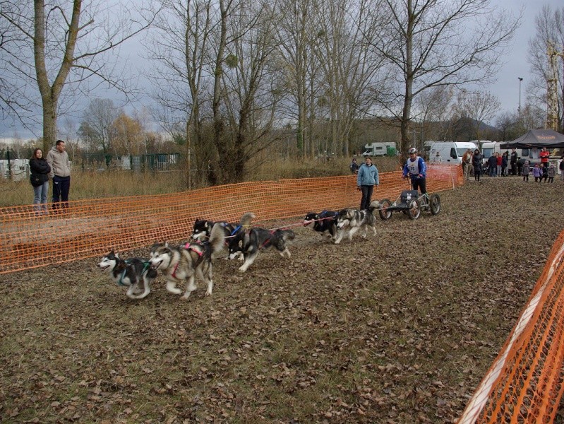 Vénérieu (38) 1ère course (terre) de la saison 2010_210