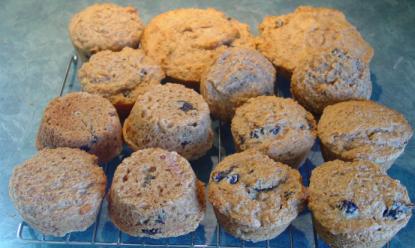Muffins au yogourt et pruneaux d'Angélina Muffin12
