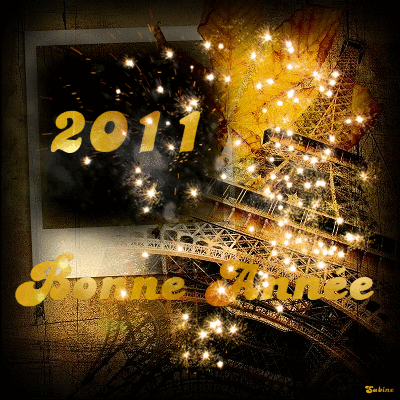 bonne année 2011 68389210