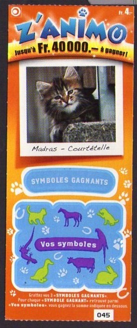 TICKETS Z'ANIMO - RUBRIQUE - LES CHATS Img34310