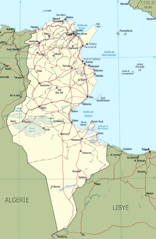 [REPORTAGE] Citroen à l Etranger  : Tunisie Tn_car10