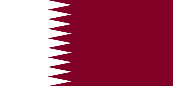 Qatar Armed Forces - Page 2 Large_10