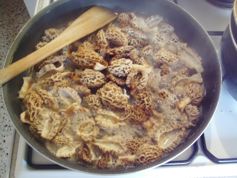 Tagliatelles aux morilles et noix de saint-Jacques Imgp0013