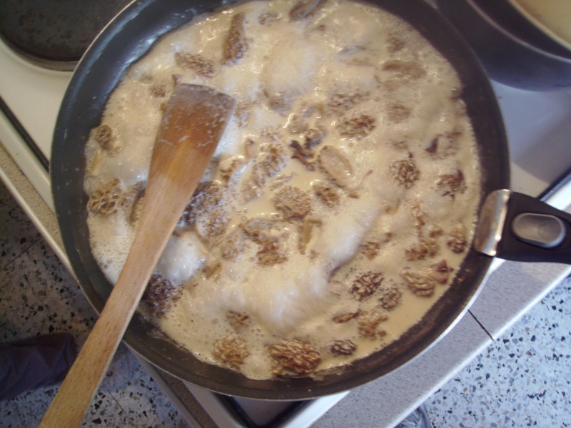 Tagliatelles aux morilles et noix de saint-Jacques Imgp0014