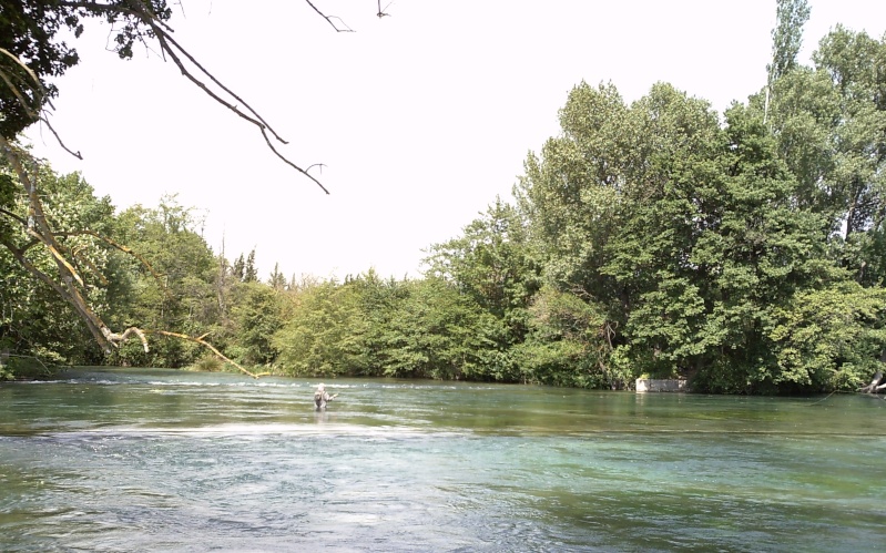 Ouverture de l'Ombre sur les Sorgues du Vaucluse. - Page 2 Pict0021