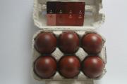 qqls oeufs de marans 39180010