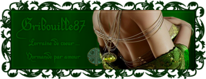 commande de Gribouille87 Ban235