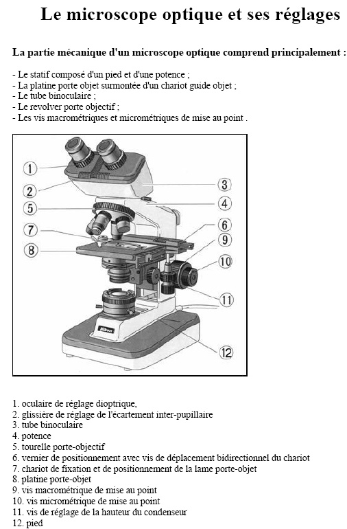 █████  Microscope optique et ses réglages  █████ Micros10