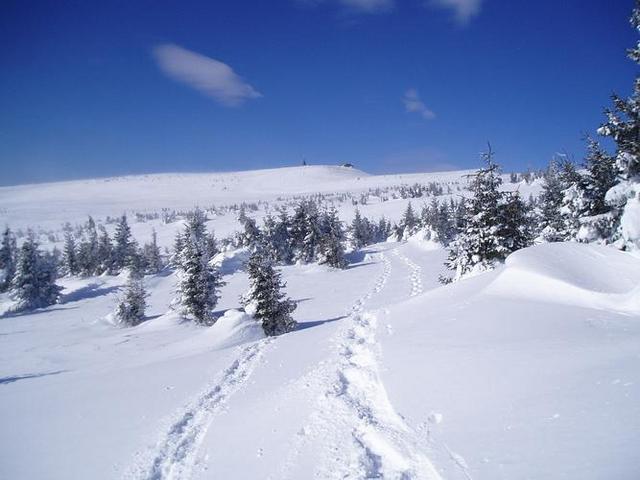 Magnifique Est dans le var pour samedi 20/03/10 40849110