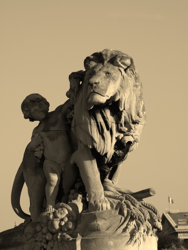 le lion et l enfant... P9274410
