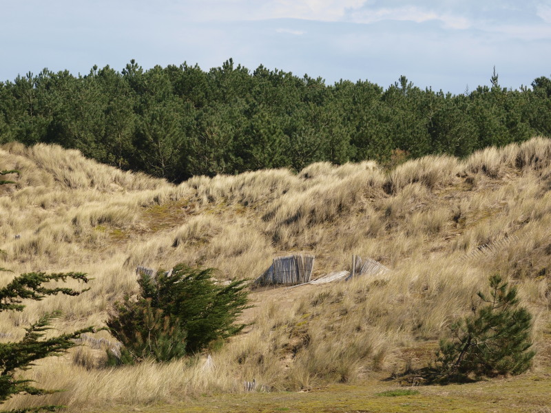 paysages breton au e-620 _0041510