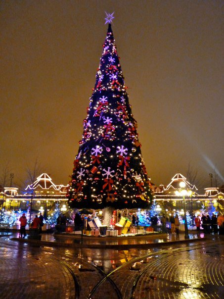 "Il Natale incantato di Disneyland Paris 2010"-----2 - Pagina 2 14909910