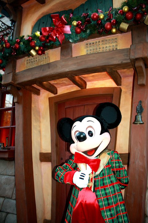 "Il Natale incantato di Disneyland Paris 2010"-----2 - Pagina 6 15658510