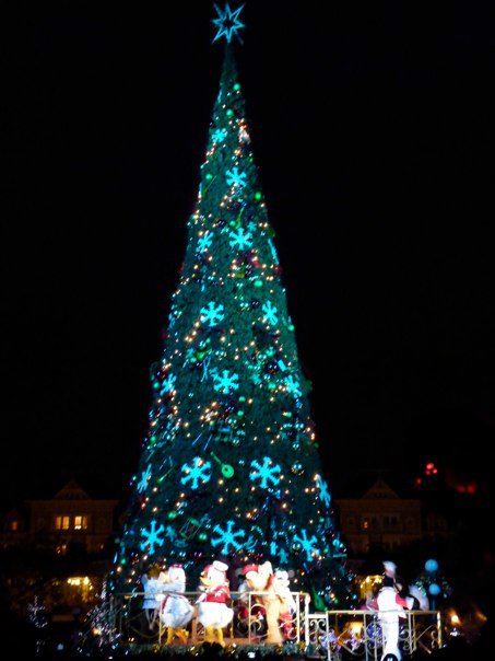 "Il Natale Incantato di Disneyland Paris - 2010 " - Pagina 45 77061_10