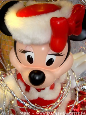 "Il Natale Incantato di Disneyland Paris - 2010 " - Pagina 59 Petit_34