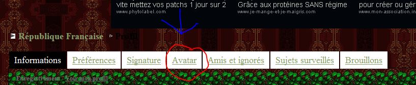 COMMENT ON MET LA PHOTO DE SON HABBO EN AVATAR Aide_210